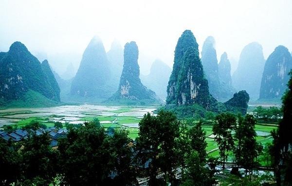动物帮帮忙保卫家园